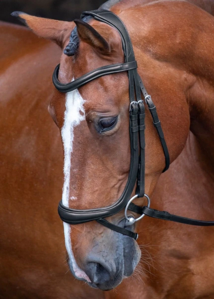 Shires Rapida Ergonomic Curved Flash Bridle - Black 3 Shires Rapida Ergonomic Curved Flash Bridle - Black