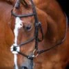 Shires Velociti RAPIDA Grackle Bridle - Black -Equestrian Supply Store shires grackle bridle black 1rdy