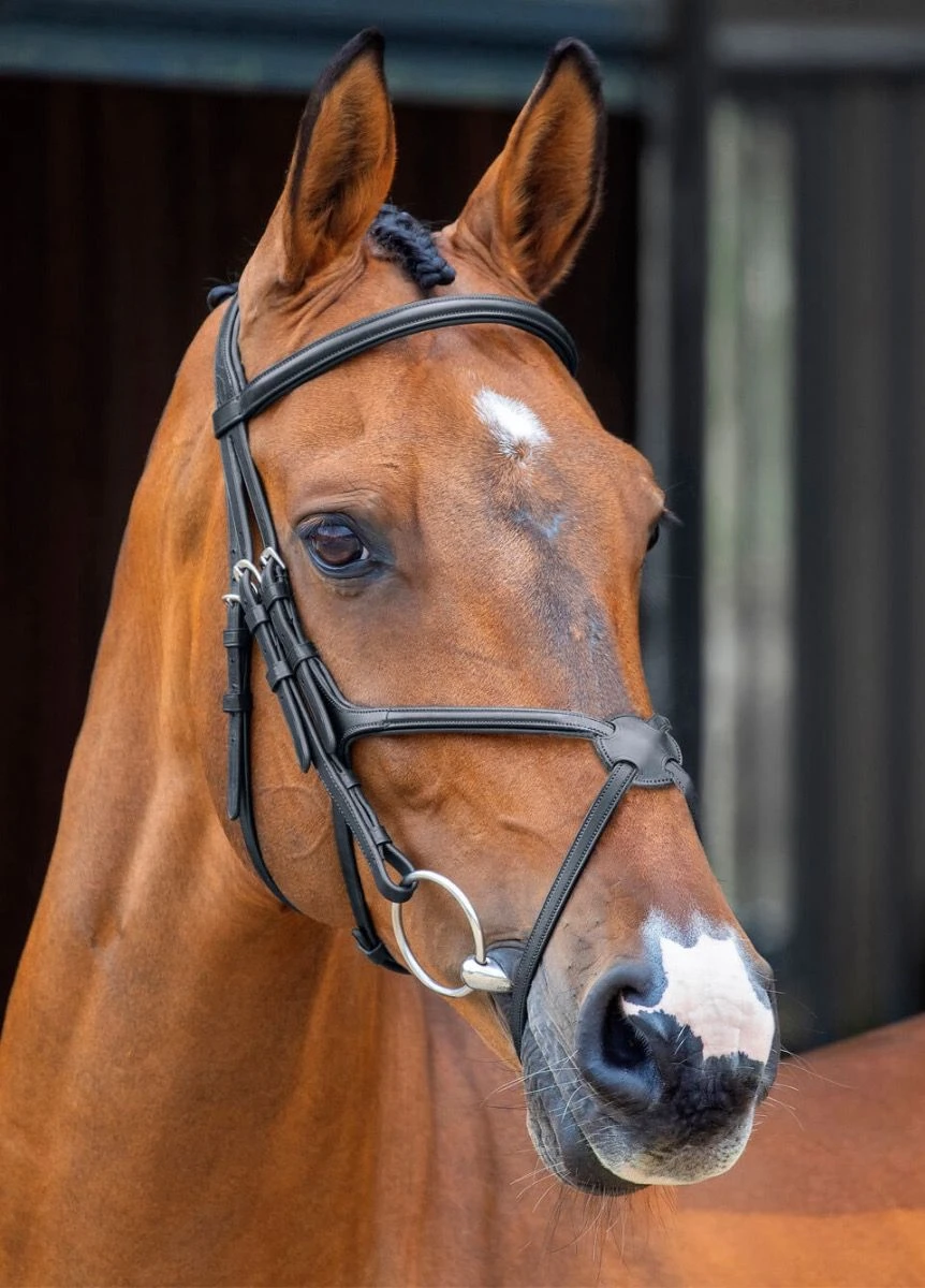 Shires Lusso Grackle Bridle - Black 3 Shires Lusso Grackle Bridle - Black