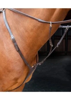 Shires Velociti RAPIDA Breastplate - Havana