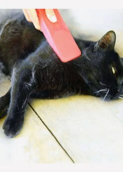 KM Elite Strip Hair Gentle Groomer - Pet -Equestrian Supply Store striphairred1