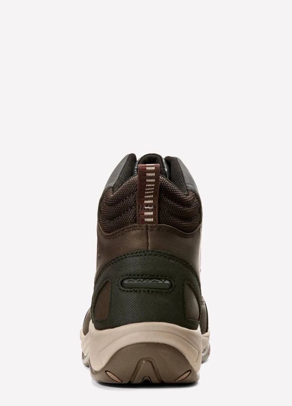 Ariat Ladies Telluride Zip H2O Boots - Dark Brown 4 Ariat Ladies Telluride Zip H2O Boots - Dark Brown - Image 2