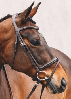 Schockemohle Tokyo Select Anatomical Bridle - Brown -Equestrian Supply Store tokyoselectbrn2rdy