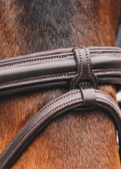 Schockemohle Tokyo Select Anatomical Bridle - Brown -Equestrian Supply Store tokyoselectdetailbrnrdy