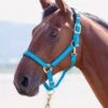 Shires Topaz Padded Headcollar - Bright Blue -Equestrian Supply Store topazhclightblu.rdy