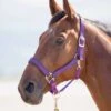 Shires Topaz Padded Headcollar - Purple -Equestrian Supply Store topazhcpurp