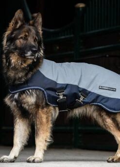 Rambo Reflective Dog Rug - Navy/Silver