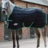 Weatherbeeta 210D Channel Quilt Standard Medium - Black/Green -Equestrian Supply Store wb channel std med black green 1rdy