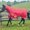 Weatherbeeta ComFITec Classic Combo Neck Medium - Red/Silver 2 Weatherbeeta ComFITec Classic Combo Neck Medium - Red/Silver -Equestrian Supply Store wb combo red 1rdy 1