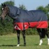 Weatherbeeta Plus Dynamic II Detach-A-Neck Medium - Black/Red/Silver -Equestrian Supply Store wb dynamic detach black red 1rdy