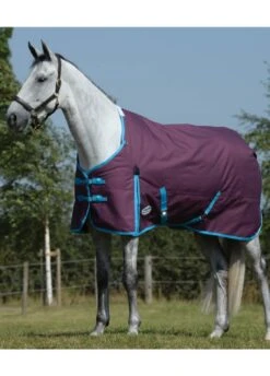 Weatherbeeta Essential Standard Neck Medium - Grape/Blue