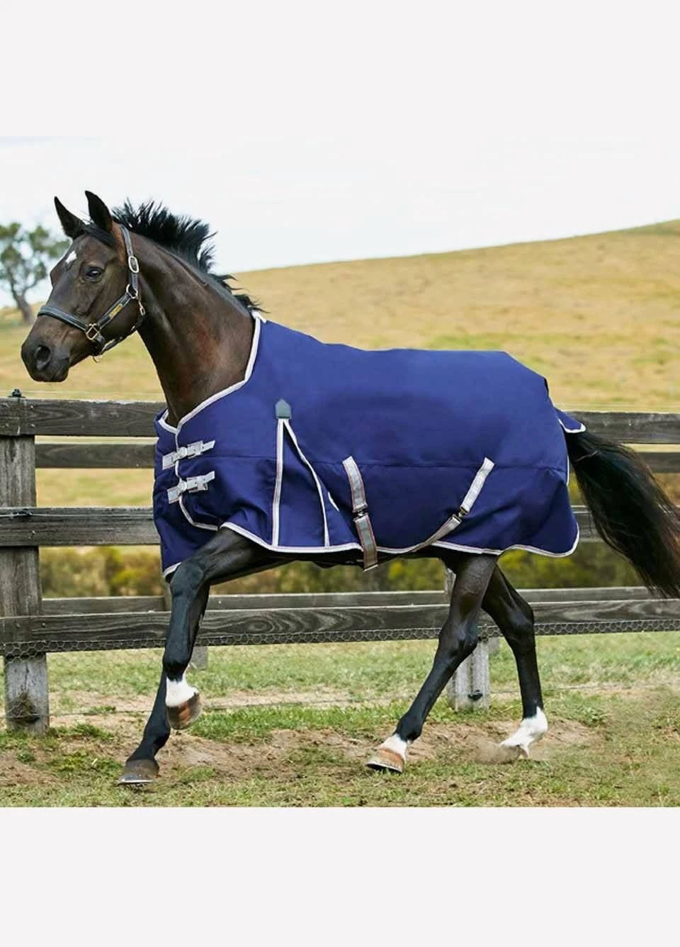 Weatherbeeta Comfitec Essential Standard Medium - Navy/Silver/Red 3 Weatherbeeta Comfitec Essential Standard Medium - Navy/Silver/Red