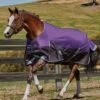 Weatherbeeta Comfitec Plus Dynamic Standard Neck Medium/Lite Turnout - Purple/Black 1 Weatherbeeta Comfitec Plus Dynamic Standard Neck Medium/Lite Turnout - Purple/Black -Equestrian Supply Store wb2