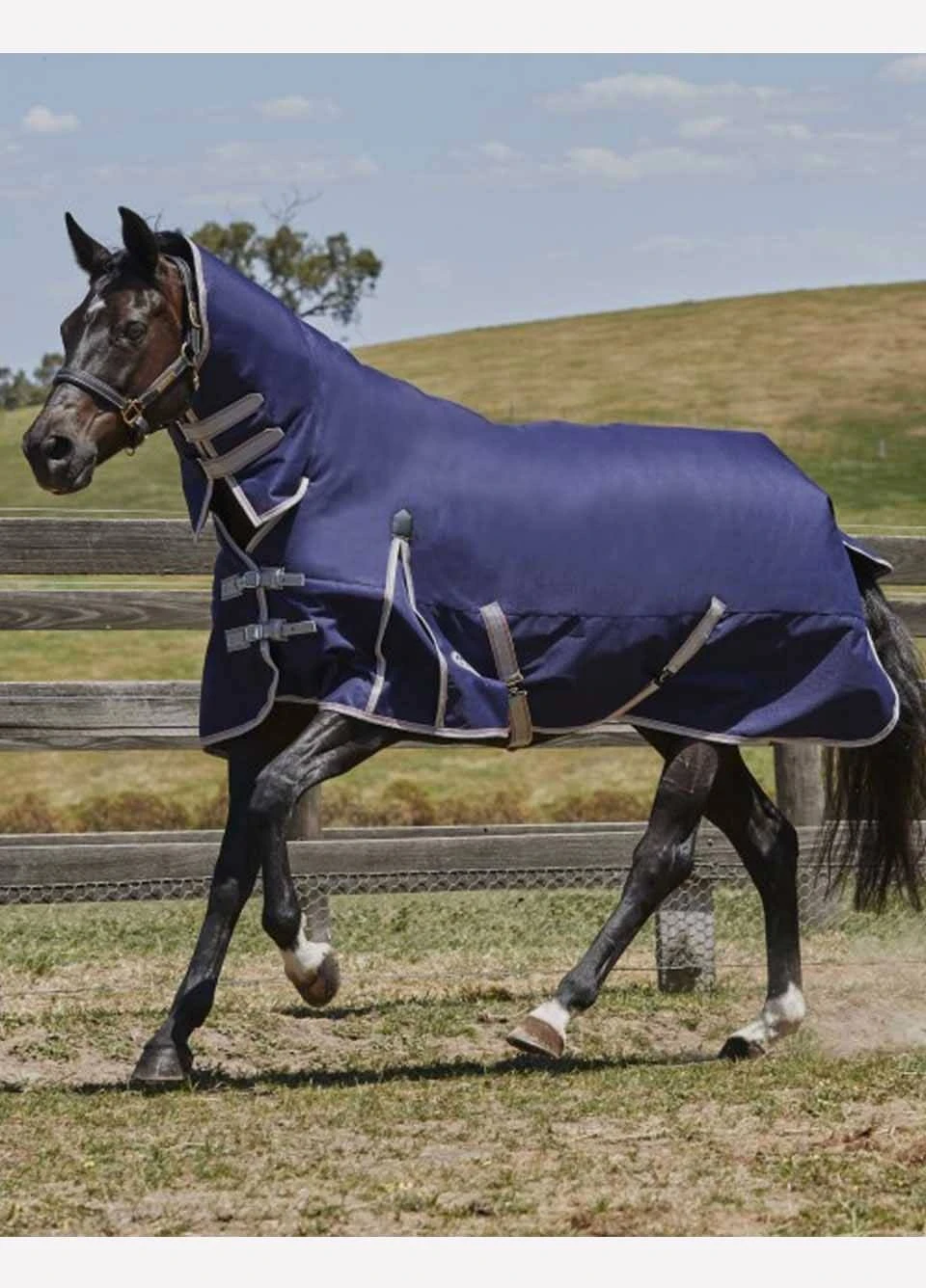 Weatherbeeta ComFITec Essential Combo Med - Navy/Silver/Red 3 Weatherbeeta ComFITec Essential Combo Med - Navy/Silver/Red