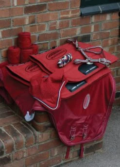 Weatherbeeta Coordinate Headcollar - Ruby -Equestrian Supply Store wbbirthday2 2