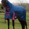 Weatherbeeta ComFITec Classic Combo Neck Medium - Blueberry/Pink -Equestrian Supply Store wbcomboblueberryrdy