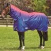 Weatherbeeta Comfitec Plus Dynamic Combo Lite Turnout - Purple Ombre -Equestrian Supply Store wbdynamiccombolitepurpleombrerdy
