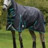 Weatherbeeta ComFITec Plus Dynamic II Combo Medium/Lite - Black/Aqua -Equestrian Supply Store wbdynamiciicomboblackaquardy 1