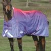 Weatherbeeta ComFiTec Plus Dynamic Standard Neck Lite Turnout Rug - Purple Ombre -Equestrian Supply Store wbdynamicstandardlitepurpombre2rdy