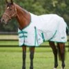 Weatherbeeta Green-Tec 900D Standard Neck Lite Plus - Light Grey/Bottle Green -Equestrian Supply Store wbgreenstandardlitepluslgreybgreen2rdy