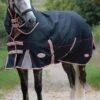 Weatherbeeta ComFITec Premier Therapy-Tec Detach-A-Neck Lite Plus - Black/Silver/Red -Equestrian Supply Store wbpremtherapydanliteplusblksvrred1rdy