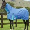 Weatherbeeta ComFITec Classic Combo Neck Lite - Delft Blue/Mint 2 Weatherbeeta ComFITec Classic Combo Neck Lite - Delft Blue/Mint -Equestrian Supply Store weatherbeeta classic combo delft blue 1rdy