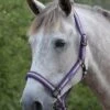 Weatherbeeta Coordinate Headcollar - Purple/Brown/Blue -Equestrian Supply Store weatherbeeta coordinate headcollar purple 1rdy