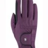 Roeckl Malta Two Tone Winter Chester Gloves - Grape Wine -Equestrian Supply Store wintermaltardy