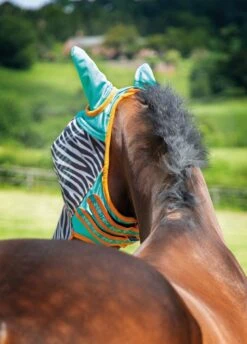 Shires Zeb-Tek Fly Mask - Zebra -Equestrian Supply Store zebraflymasktealrdy